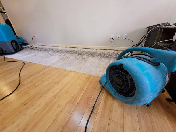 Professional Flood Damage Cleanup technician working in New Johnsonville, TN